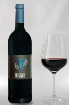 Thokozani Cabernet Franc 2022