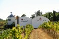 Winery: Laibach Vineyards